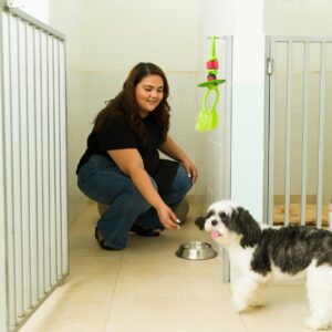 Caretaker with playful dogs in shelter