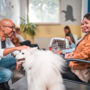Friendly vet clinic visit with pet