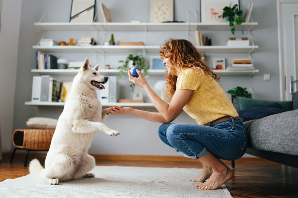 Playful moment between woman and dog
