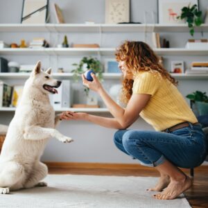 Playful moment between woman and dog